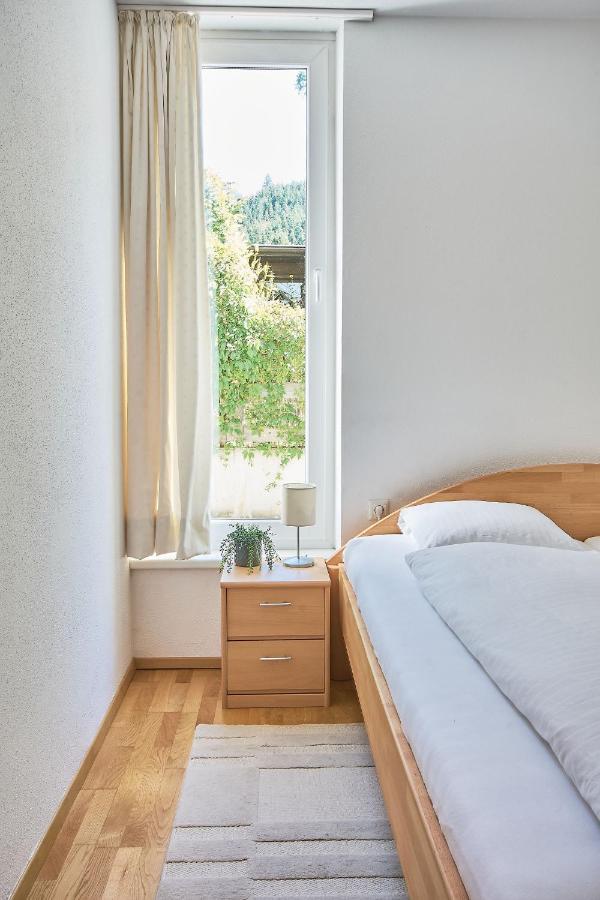Mountain View Ski Apartment 라우리스 외부 사진